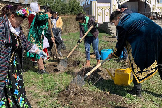 Старое дерево-твое воспоминание, привитое дерево-твое завтра