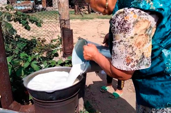 Национальное казахское блюдо из красного сыра 