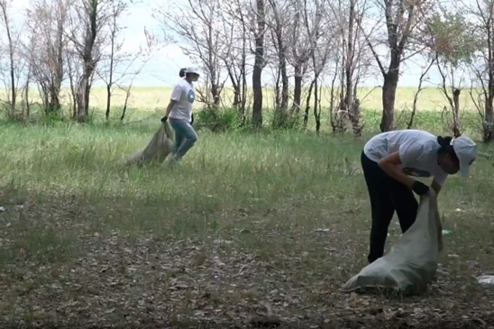 «Чистый мир своими руками»