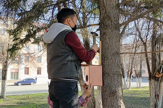 Забота о пернатых