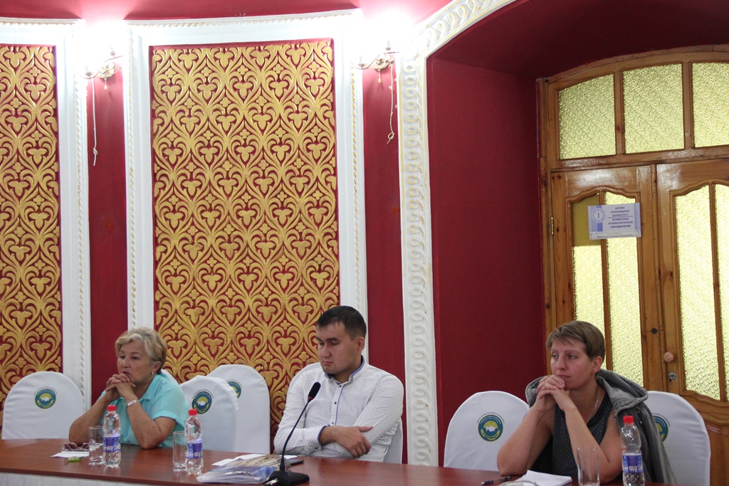 Служебная встреча профессиональных медиаторов