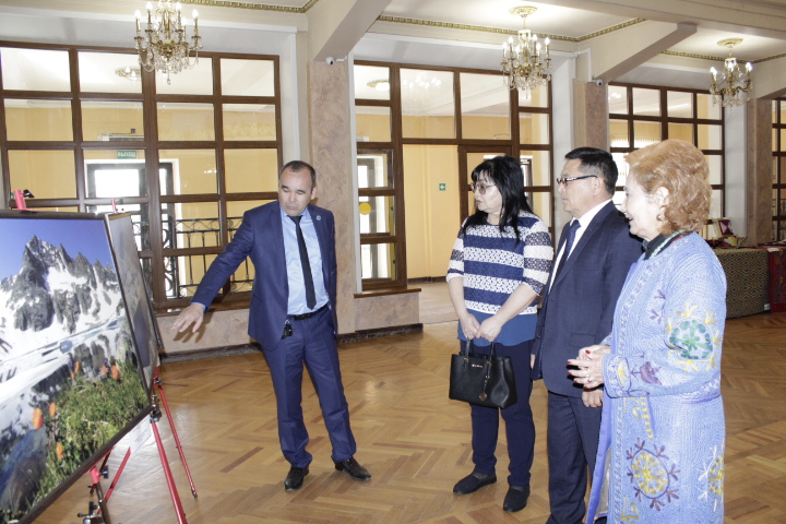 Посетительница из столицы